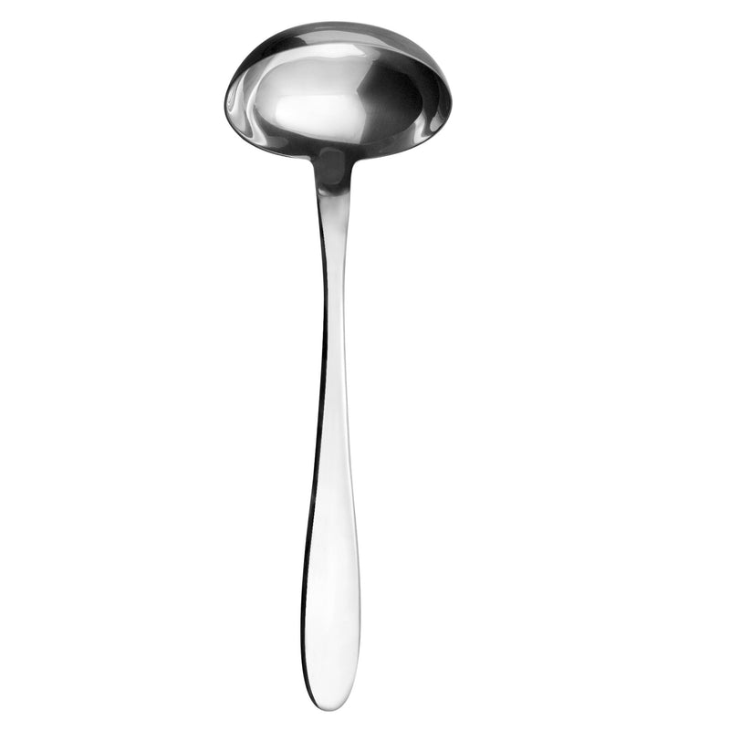 ONDE MIRROR FINISH LADLE SET OF 1