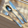 AQUATIC MIRROR FINISH TABLE FORK AND SPOON SET