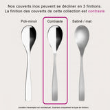 ASTREE CISELE DESSERT SPOON OF 12